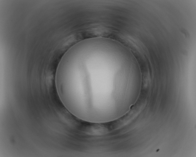 X0000114060279200910191507