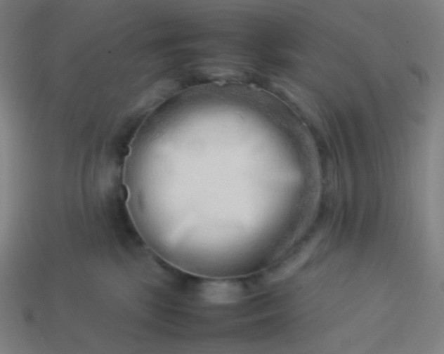 X0000114060281200910191507