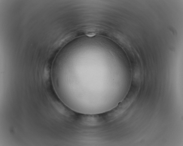 X0000114060282200910191507