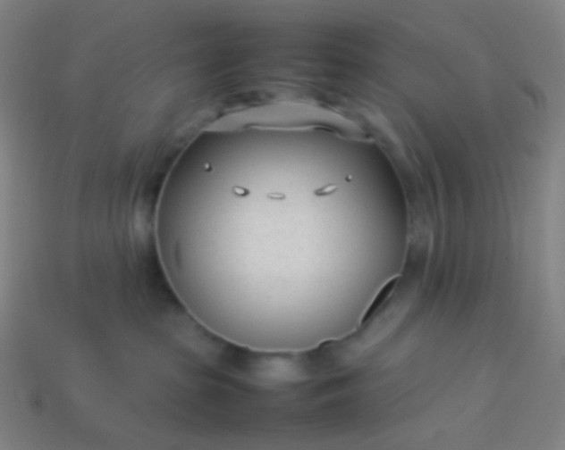 X0000114060285200910191508