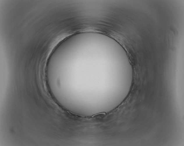 X0000114060289200910191507