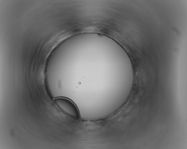 X0000114060290200910191507