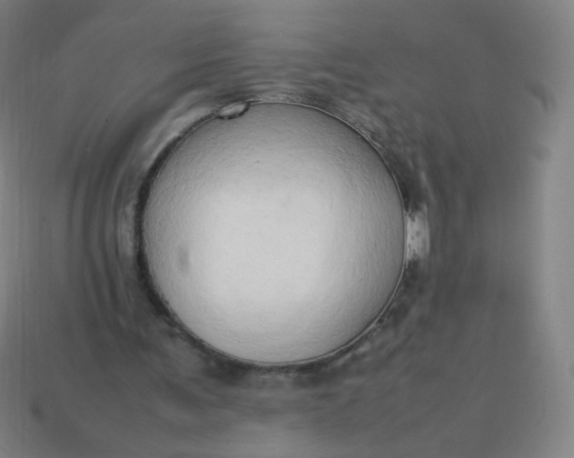 X0000114060291200910191507