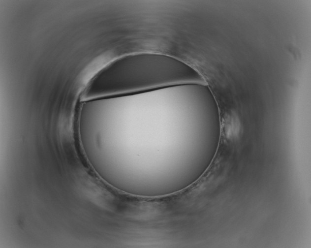 X0000114060292200910191507