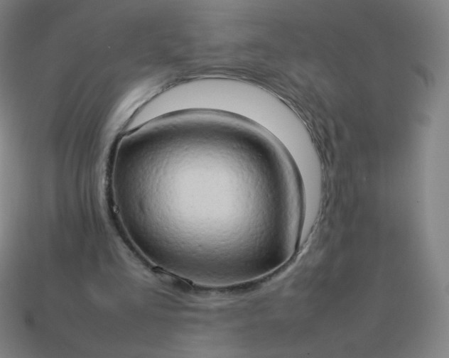 X0000114060293200910191507