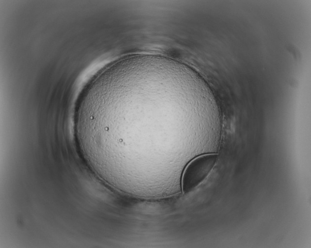 X0000114060294200910191507