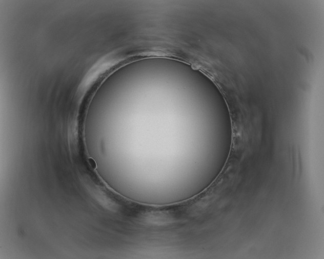 X0000114060296200910191507