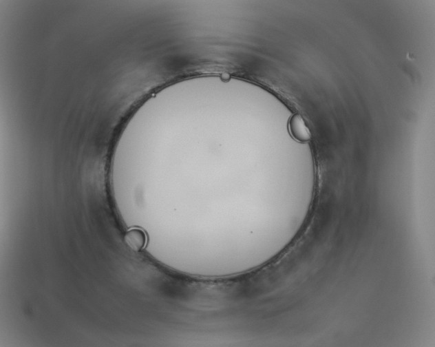 X0000114060297200910191507