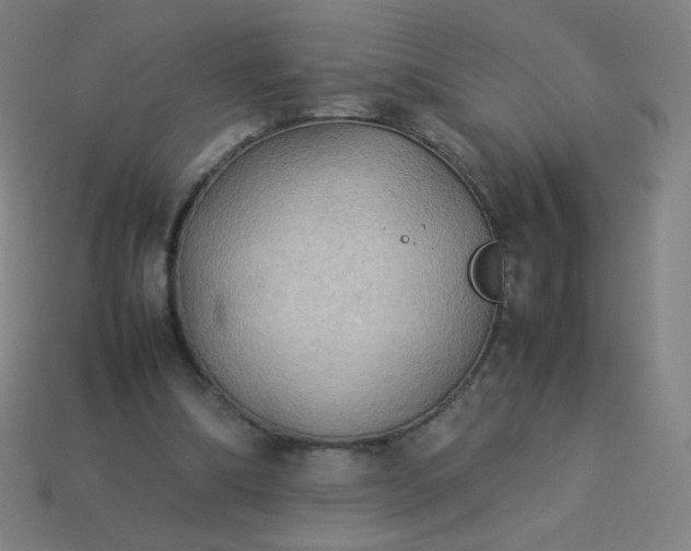 X0000114060298200910191507