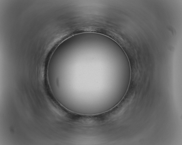 X0000114060299200910191507