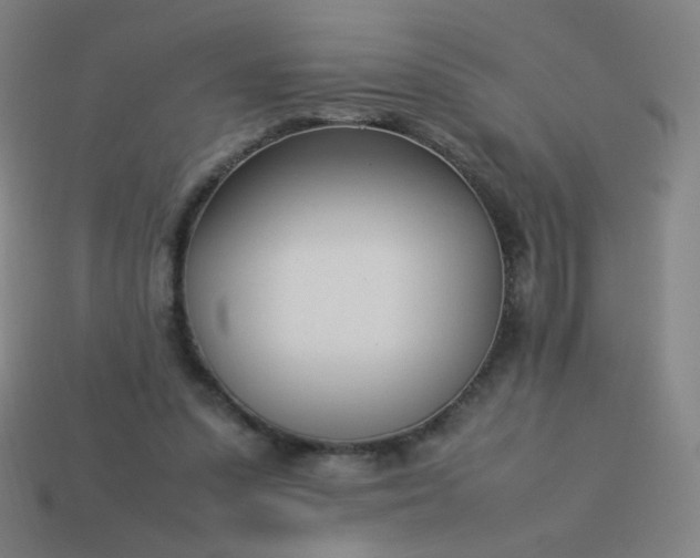 X0000114060303200910191507