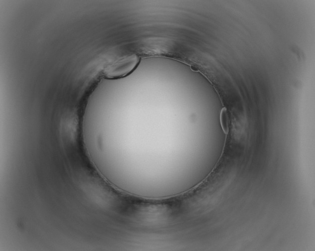 X0000114060304200910191507