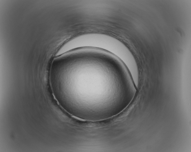 X0000114060305200910191507