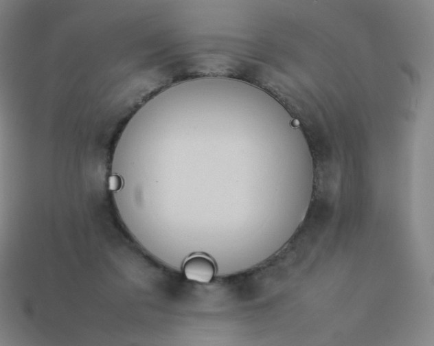 X0000114060309200910191507