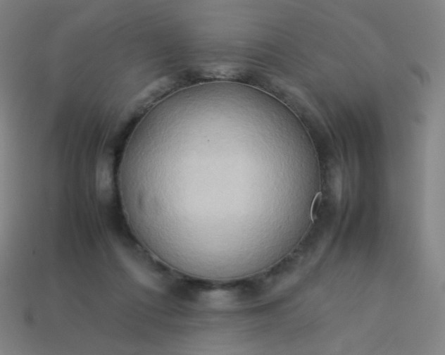 X0000114060312200910191506