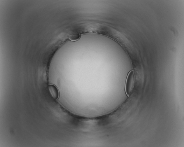 X0000114060313200910191506