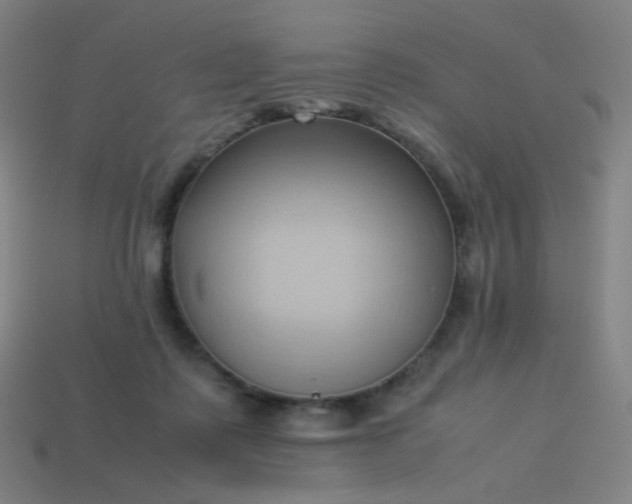 X0000114060315200910191506