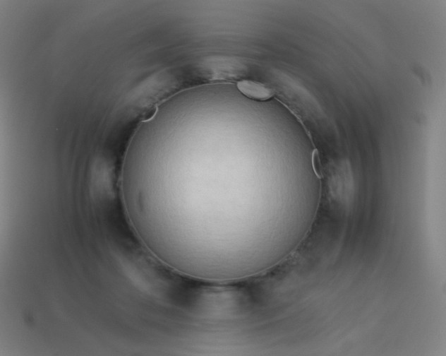 X0000114060316200910191506