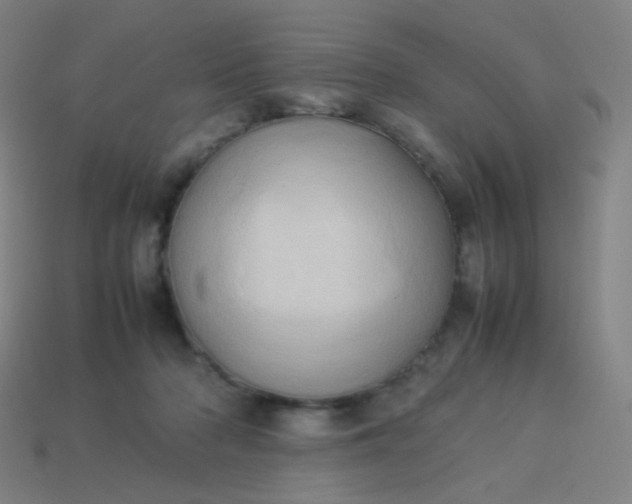 X0000114060318200910191506