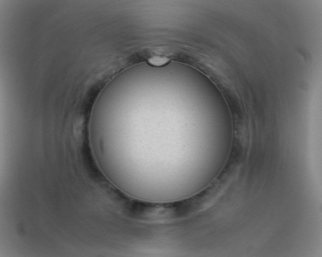 X0000114060319200910191506