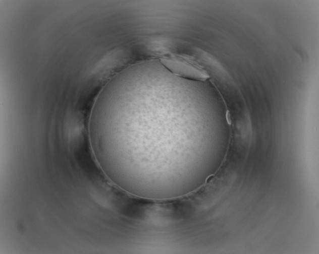 X0000114060320200910191506