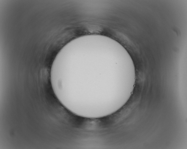 X0000114060321200910191506