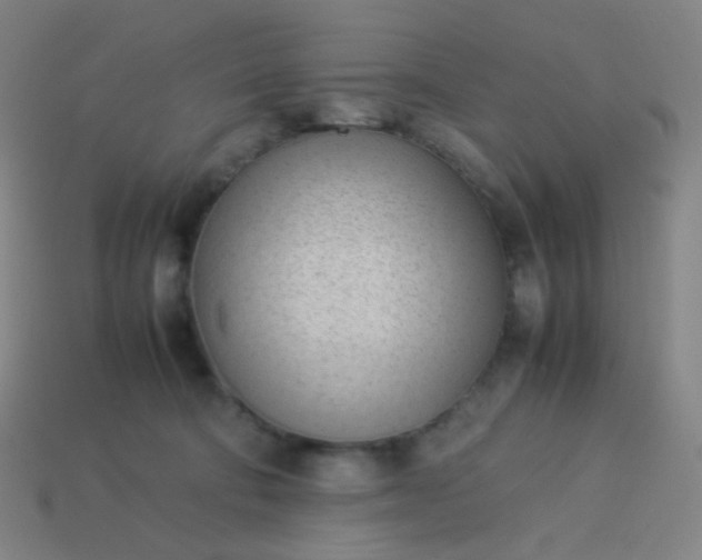 X0000114060322200910191506