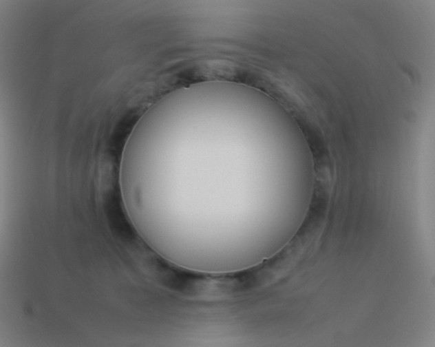 X0000114060323200910191506