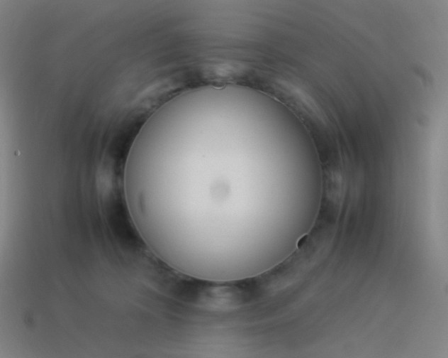 X0000114060324200910191506