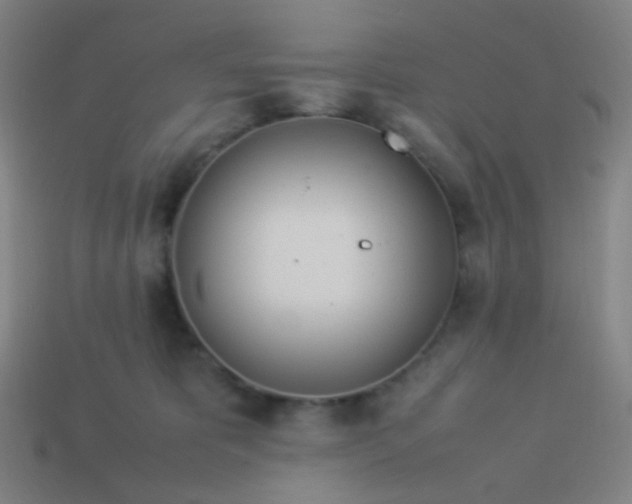 X0000114060325200910191506