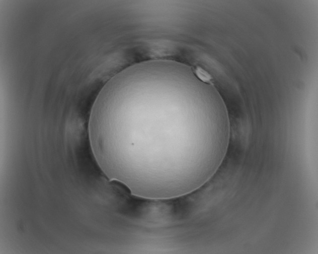 X0000114060327200910191506