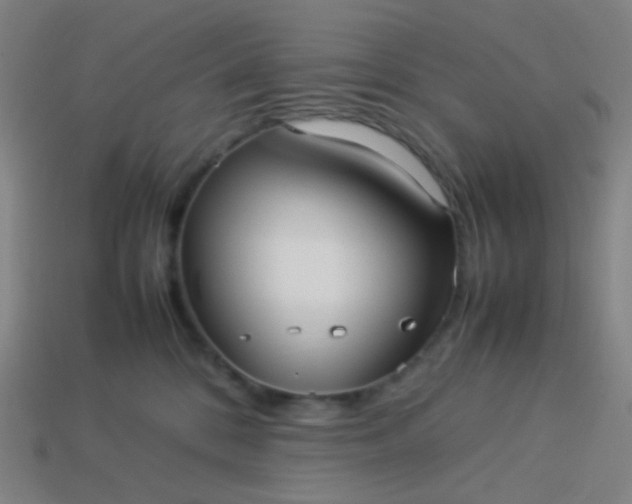 X0000114060328200910191506