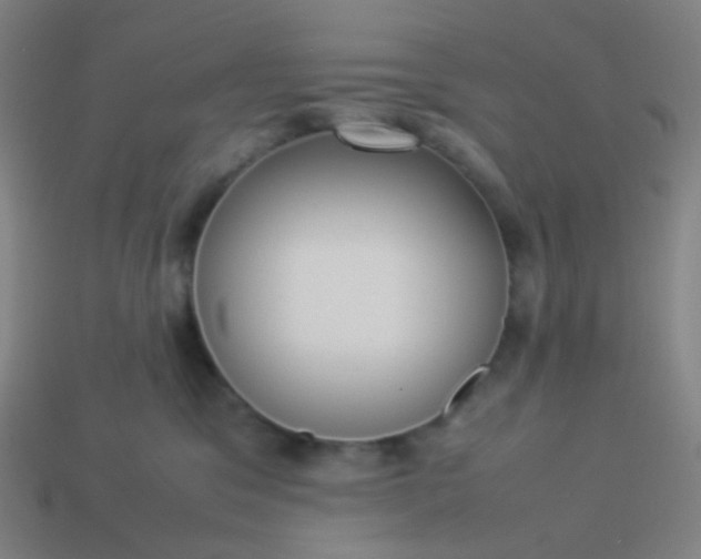 X0000114060329200910191506