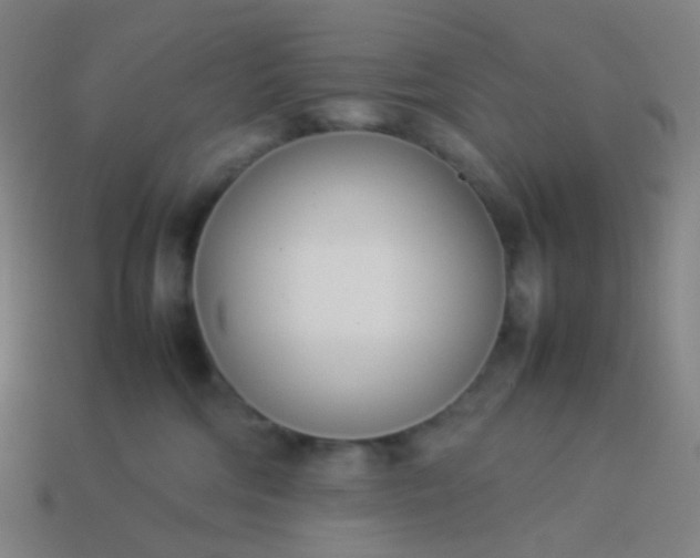 X0000114060330200910191506