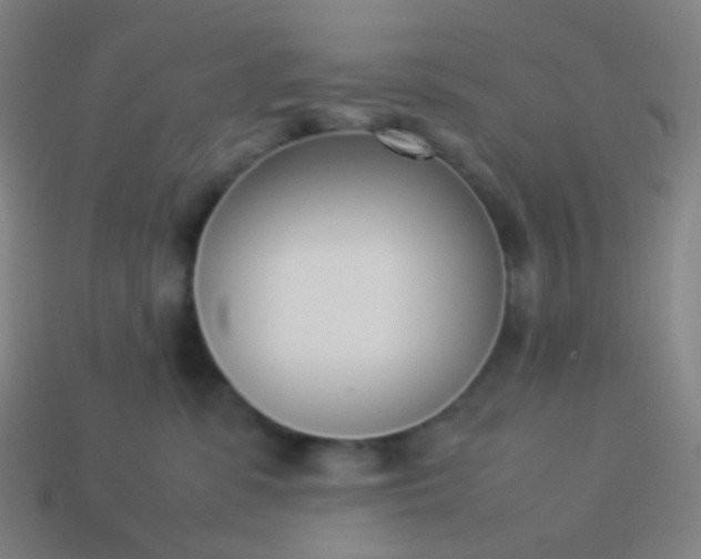 X0000114060331200910191506