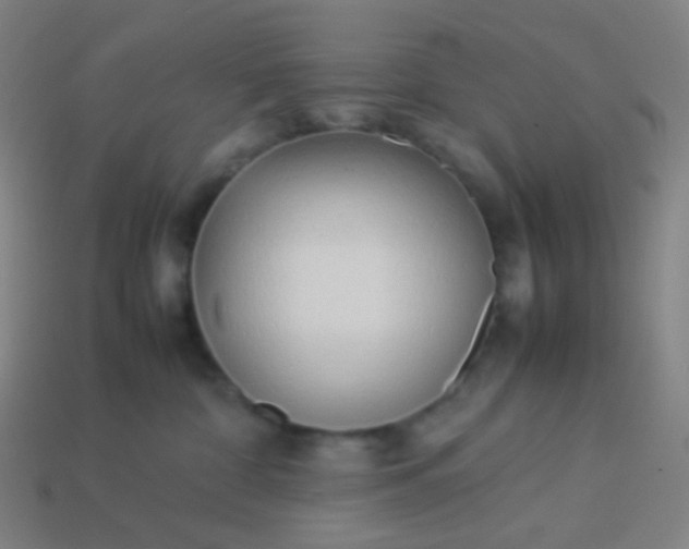 X0000114060332200910191506