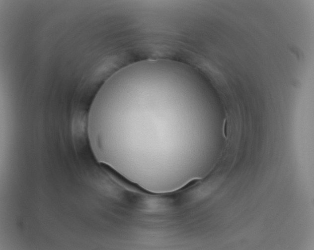 X0000114060336200910191506