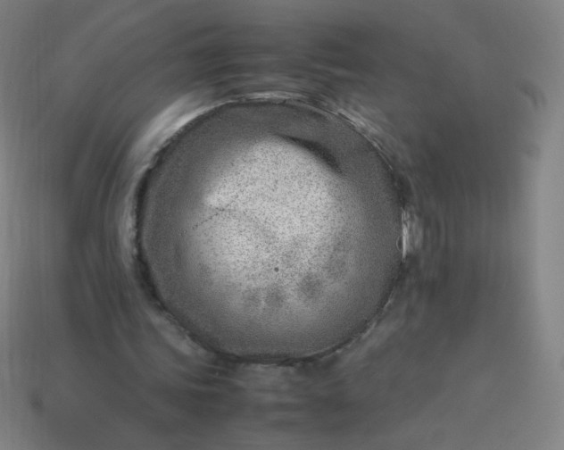 X0000114060339200910191506