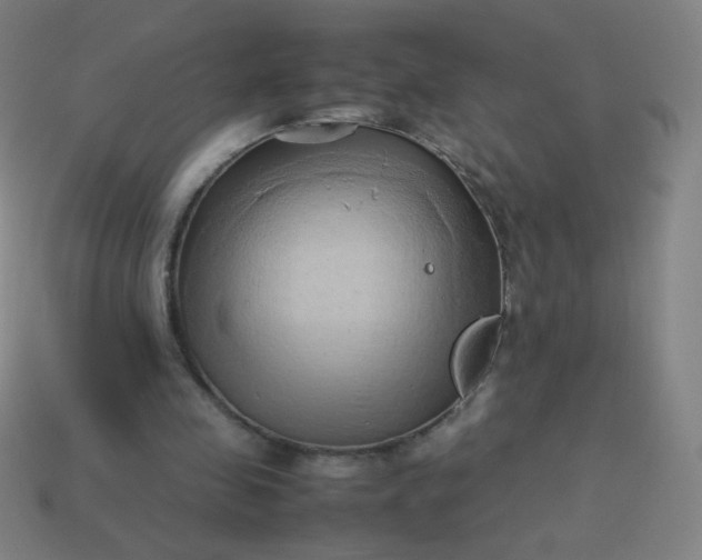 X0000114060341200910191506