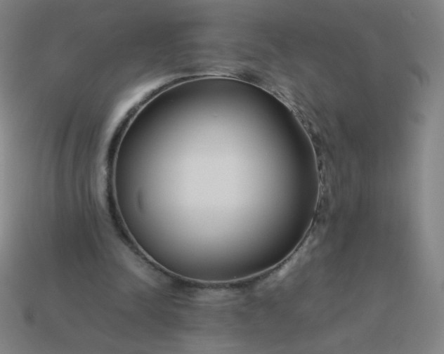 X0000114060342200910191506