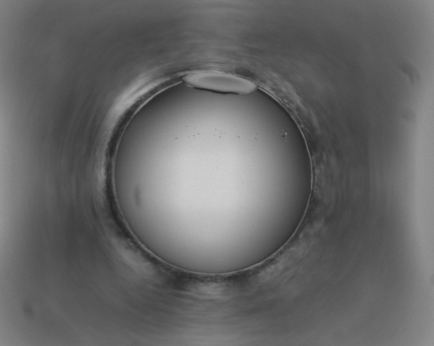 X0000114060344200910191506