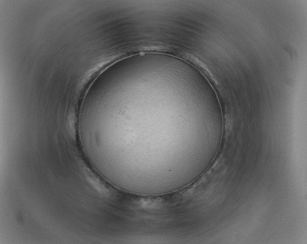 X0000114060345200910191506