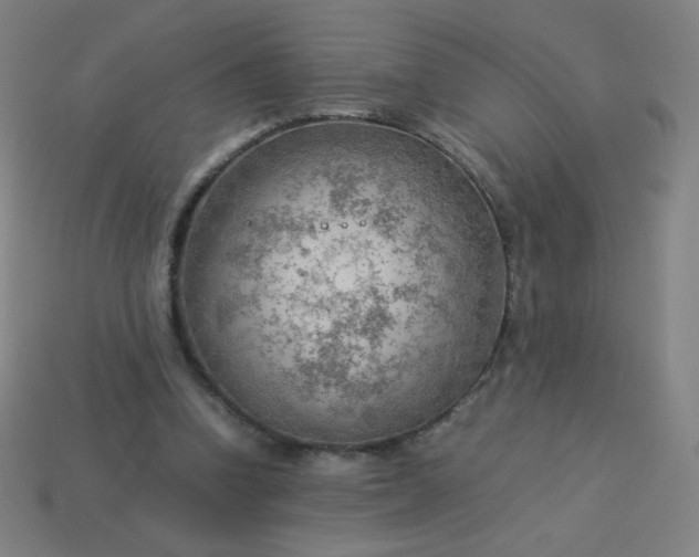 X0000114060346200910191506