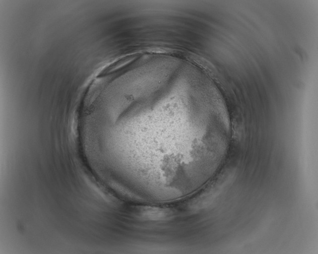 X0000114060347200910191506