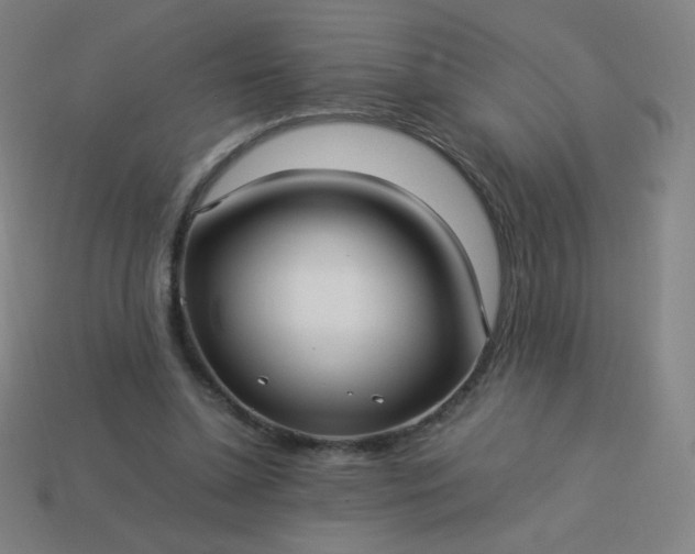 X0000114060348200910191506