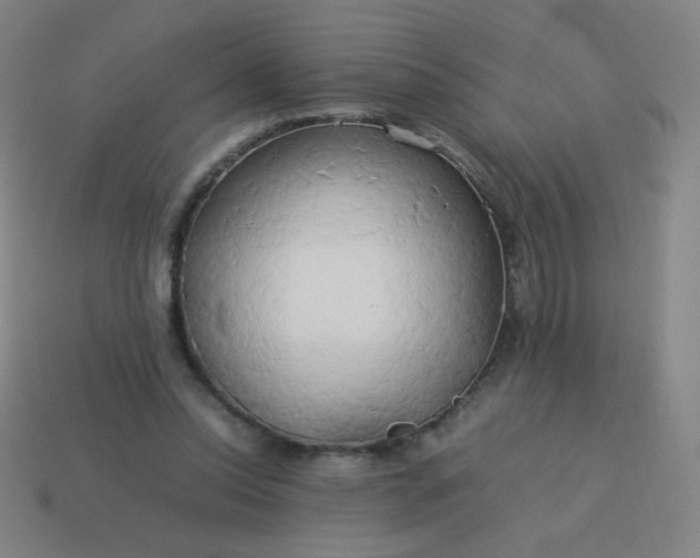 X0000114060350200910191506