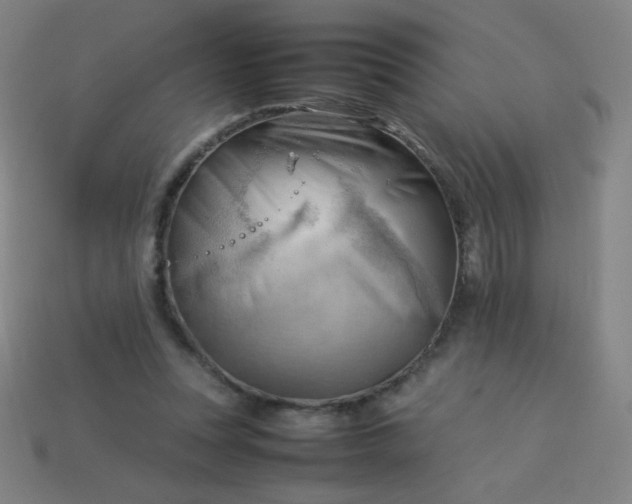 X0000114060351200910191506