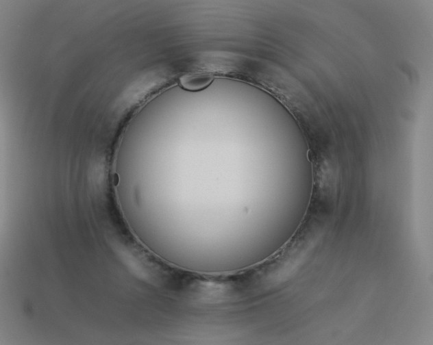 X0000114060352200910191506