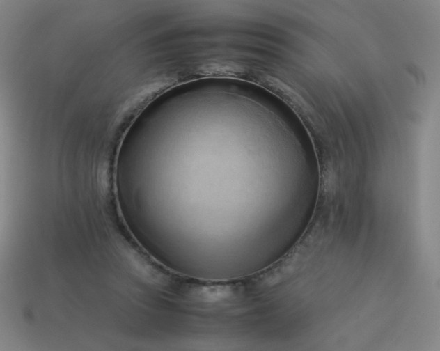 X0000114060353200910191506