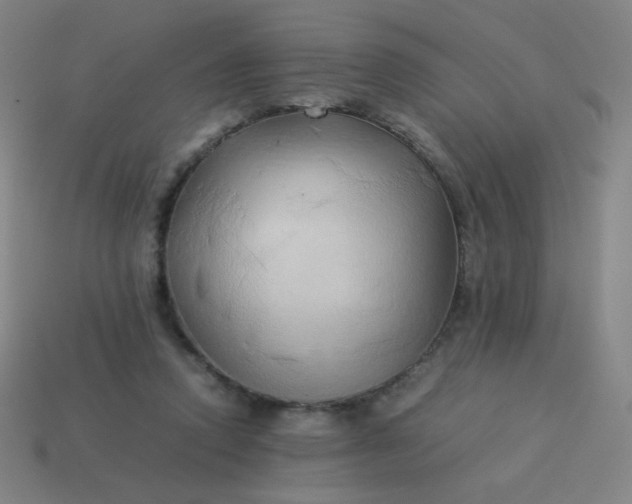 X0000114060354200910191506